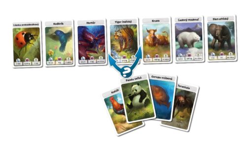 Cardline Svet zvierat