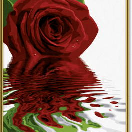 Červená ruža (40×50)