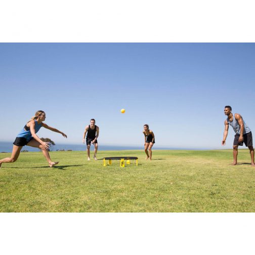 Spikeball Standard set