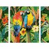Papagáje v pralese maľovanie podľa čísel